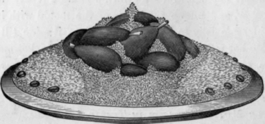 Chaudfroid of Chicken with Truffles Chaudfroid de Volaille aux Truffes