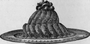 Farce for Little Fish a la Waddixgton