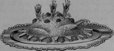 Farced Turkey Dindonneau Farci