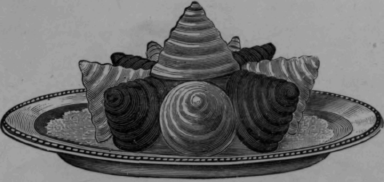 Meringue Mixture for Meringues A l'Americaine