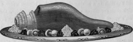 Ragout for Ox Tongue A la Dorna