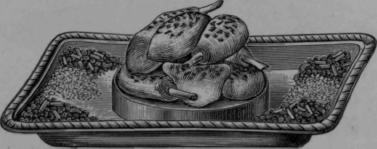 Sauce for Chaudfroid of Chicken with Vegetables