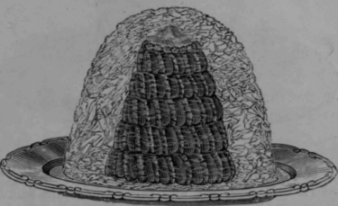 Vanilla Cream for Timral of Chest mis a LA Cannes