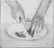 Working Directions To Be Followed By All Even Numb Cooking 212