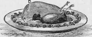 ROAST FOWL, TO CARVE.