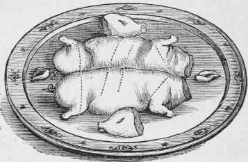 SUCKING PIG.