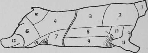 Diagram of the cuts of beef.