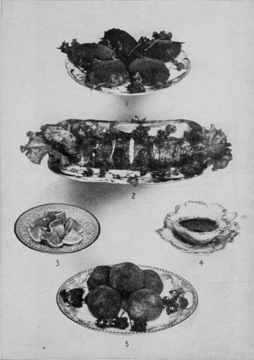 Fish And Shell Fish.