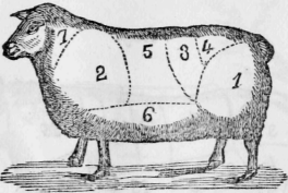 Mutton Cuts