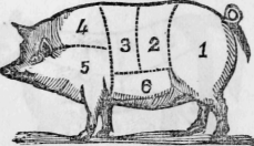 Pork Cuts