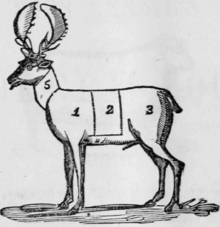 Venison Cuts