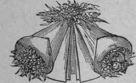 The Colonne De Triomphe 139