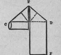 The Escutcheon 43