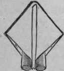 The Escutcheon 44