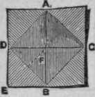 The Flower Basket 129