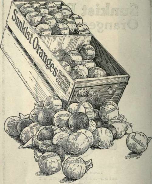 The Fruit of a Hundred Uses Buy Them by the Box. Sunkist Recipes