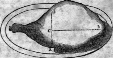 17-Haunch-Of-Mutton-18
