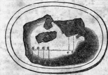 6-A-Spare-Rib-10