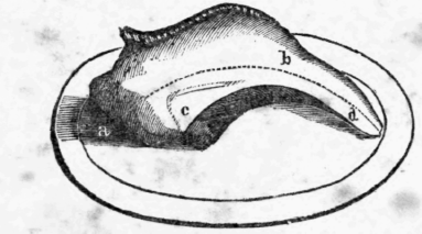 6-A-Spare-Rib-11