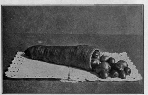 A Carrot Case for the Thanksgiving Relishes.