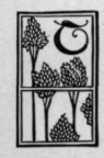 Eggs 38