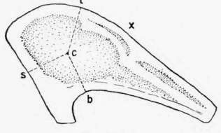 Diagram D