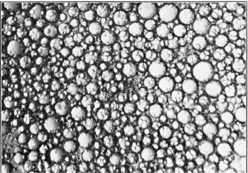 Factors Affecting The Ease Of Formation And Stabil 56