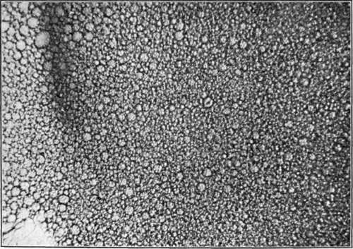 Factors Affecting The Ease Of Formation And Stabil 58