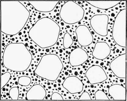 Homogenization Of Milk 59