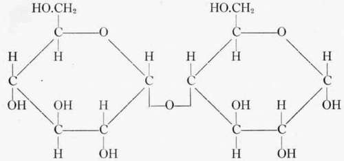 a maltose beta cellobiose. Sucrose is composed of one alpha glucopyranose united through the first carbon to beta fructopyranose.
