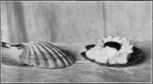 Shirred Egg Shell for Baking
