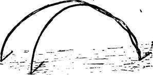 Remedies For The Striped Cucumber Beetle 78