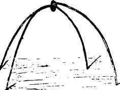 Remedies For The Striped Cucumber Beetle 79