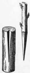 Triangular Notch Grafting.