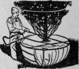 The method of binding up the roots.