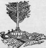 The roots bound up, and tree being loaded.