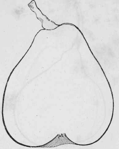 Beurre D Aremberg Of French And English Works Fig 127
