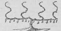 Pruning And Training 73