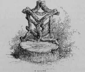 A RUSTIC CHAIR FOR THE SEDENTARY MAN, BY W.L.