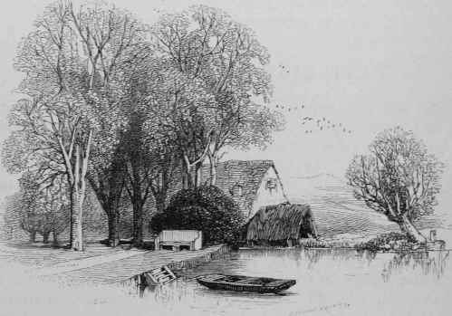 Leschenaultia Formosa 18500030