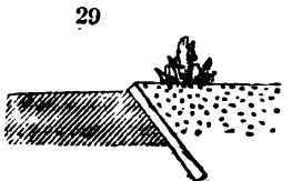 Leading Rules For Laying Out And Planting Flowe 29
