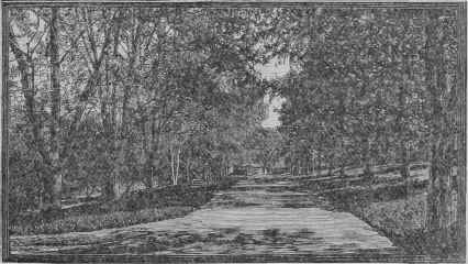 Avenue at Ashton.