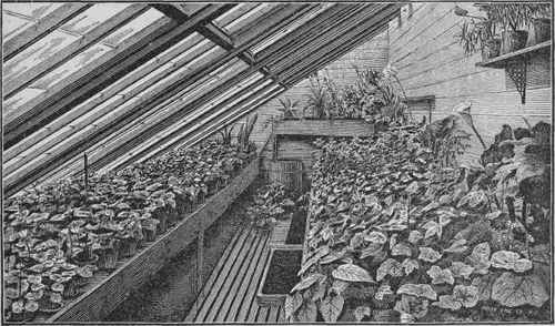 Fig I. Interior View.