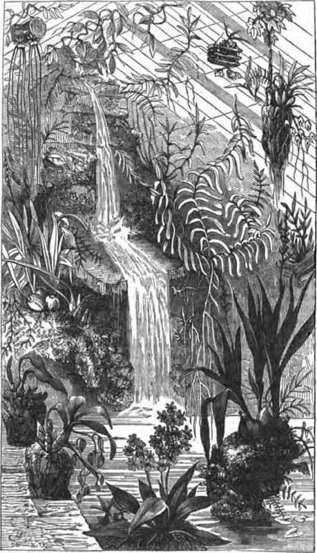 Interior of Orchideoua Houae at Penllergare.