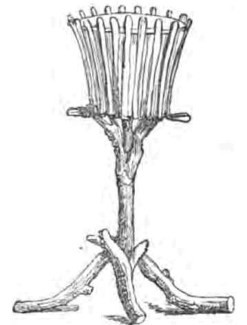 Rustic Furniture Second Article 1300105