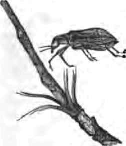 August Answers To Correspondents 300101