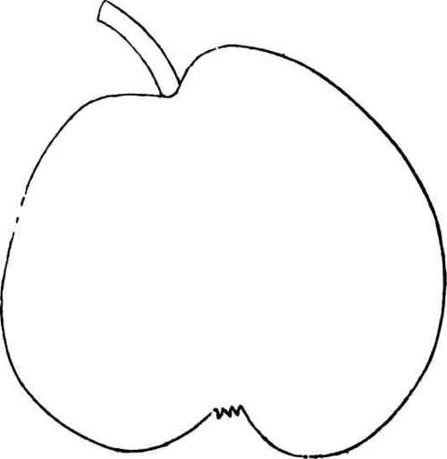 BEURRE DE KONING PEAR.