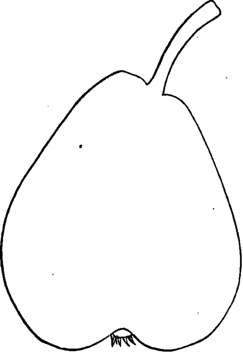 Bergen Pear.