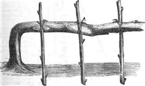 Inarching An Improvement 160013