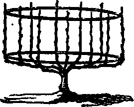 Laying Out A Garden 130097